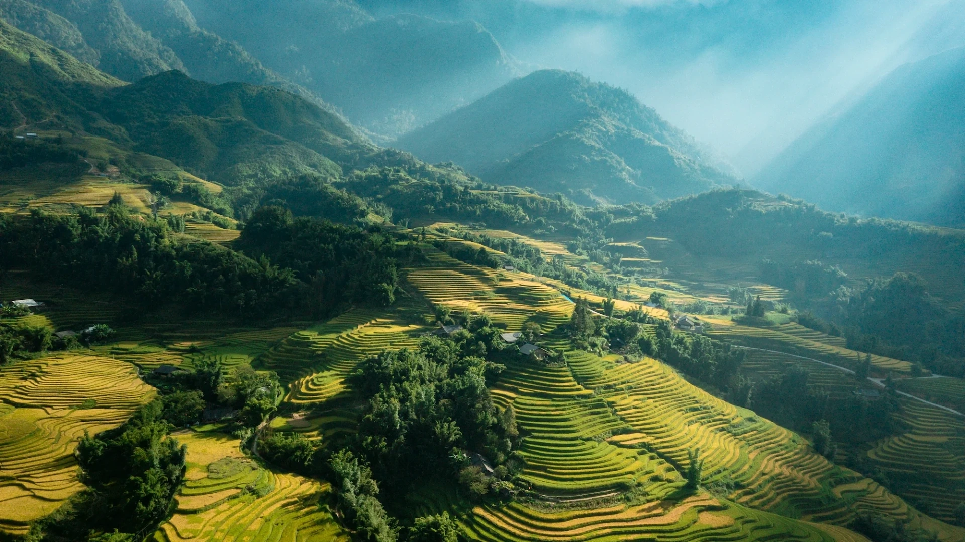 In-city transfer service | Sapa